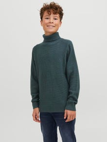 Jack & Jones Col roulé Pour les garçons -Magical Forest - 12243149