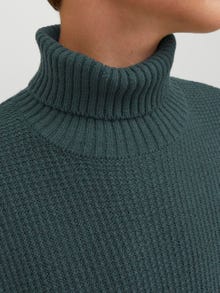 Jack & Jones Turtleneck For boys -Magical Forest - 12243149