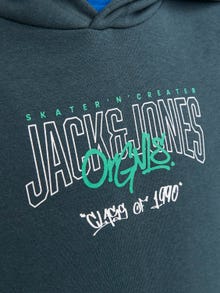 Jack & Jones Spausdintas raštas Megztinis su gobtuvu For boys -Magical Forest - 12243315