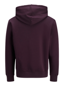 Jack & Jones Plus Size Z logo Bluza z kapturem -Plum Perfect - 12243527