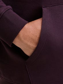 Jack & Jones Plus Size Sweat à capuche Logo -Plum Perfect - 12243527