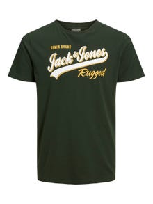 Jack & Jones Plus Logo T-särk -Mountain View - 12243611