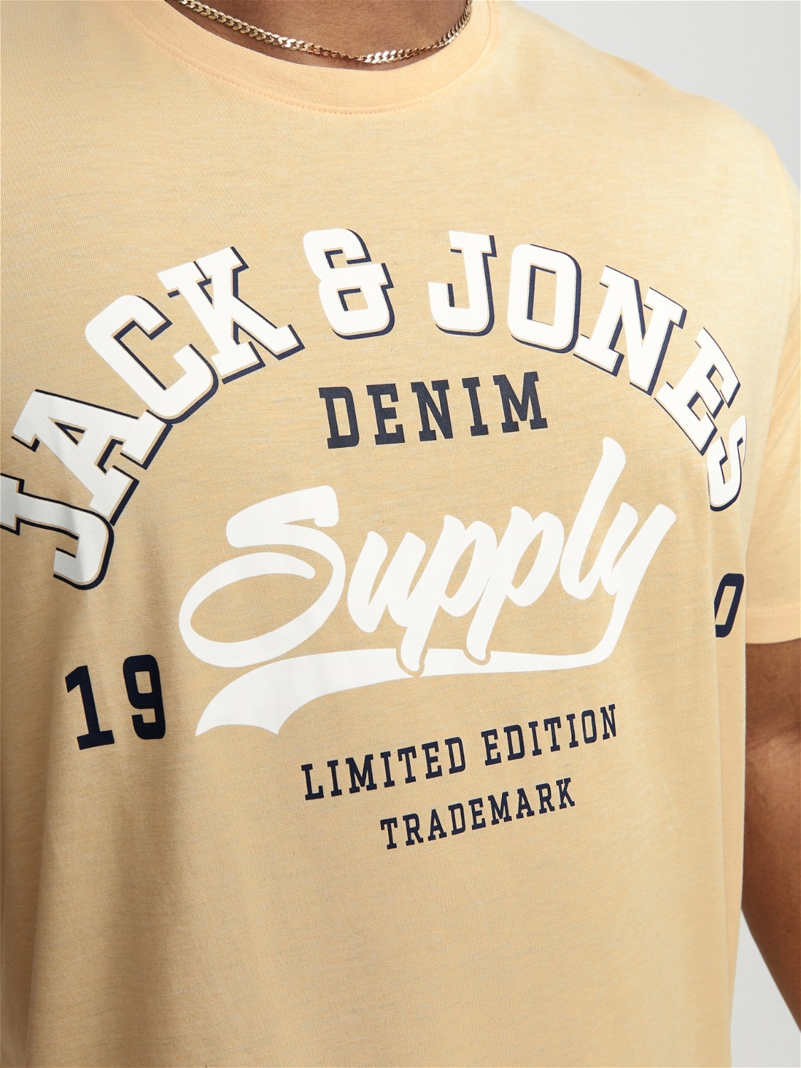 Jack & Jones Plus Size T-shirt Logo -Apricot Ice  - 12243611