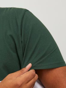 Jack & Jones Plus Size Colorblock T-shirt -Mountain View - 12243653