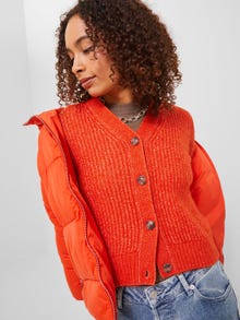 JJXX JXREGINA Gebreide Vest -Poinciana - 12243654