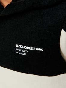 Jack & Jones Spalvų blokai Megztinis su gobtuvu For boys -Moonbeam - 12243655