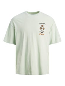 Jack & Jones Painettu Pyöreä pääntie T-paita -Celadon - 12245262