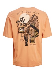 Jack & Jones Printed Crew neck T-shirt -Copper Tan - 12245262