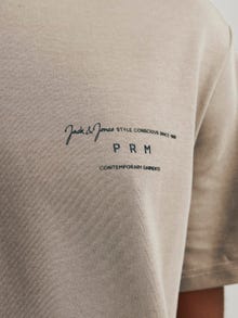 Jack & Jones Printed Crew neck T-shirt -Brindle - 12245400