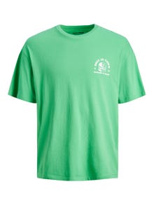 Jack & Jones Painettu Pyöreä pääntie T-paita -Island Green - 12245412