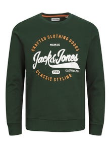 Jack & Jones Plus Size Logo Crew neck Sweatshirt -Mountain View - 12245502