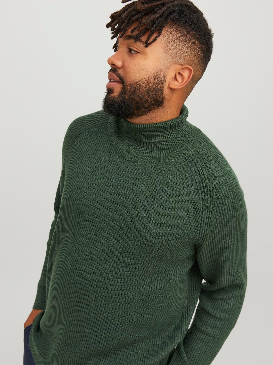 Plus size 2024 turtleneck jumper