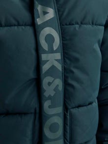 Jack & Jones Junior Toppatakki -Magical Forest - 12246122
