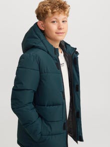 Jack & Jones Junior Toppatakki -Magical Forest - 12246122
