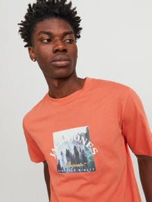 Jack & Jones Fotoprint Ronde hals T-shirt -Ginger - 12246446
