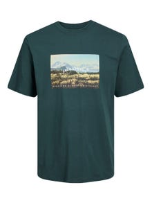 Jack & Jones Fotodruck Rundhals T-shirt -Magical Forest - 12246446