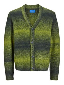 Jack & Jones Striped Knitted cardigan -Magical Forest - 12246644