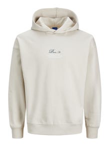 Jack & Jones Nyomott mintás Kapucnis felső -Moonbeam - 12246799