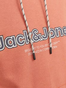 Jack & Jones Felpa con cappuccio Stampato -Ginger - 12246802