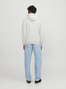 Jack & Jones Nyomott mintás Kapucnis felső -Moonbeam - 12246802