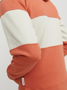 Jack & Jones Printet Hættetrøje -Ginger - 12246802