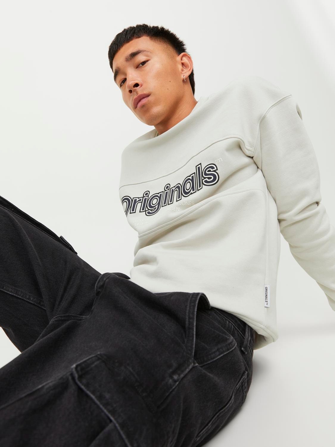 Jack & Jones Tryck Crewneck tröja -Moonbeam - 12246804