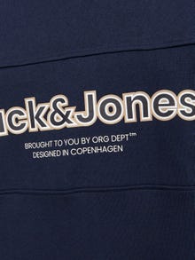 Jack & Jones Spausdintas raštas Apatinis prakaituojantis megztinis -Sky Captain - 12246804