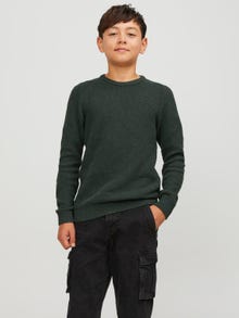 Jack & Jones Strikkegenser med rund hals For gutter -Magical Forest - 12247056