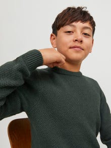 Jack & Jones Crew Neck Jumper For boys -Magical Forest - 12247056