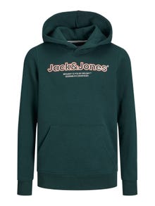 Jack & Jones Logo Hoodie For boys -Magical Forest - 12247614