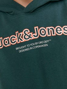 Jack & Jones Logo Kapuzenpullover Für jungs -Magical Forest - 12247614