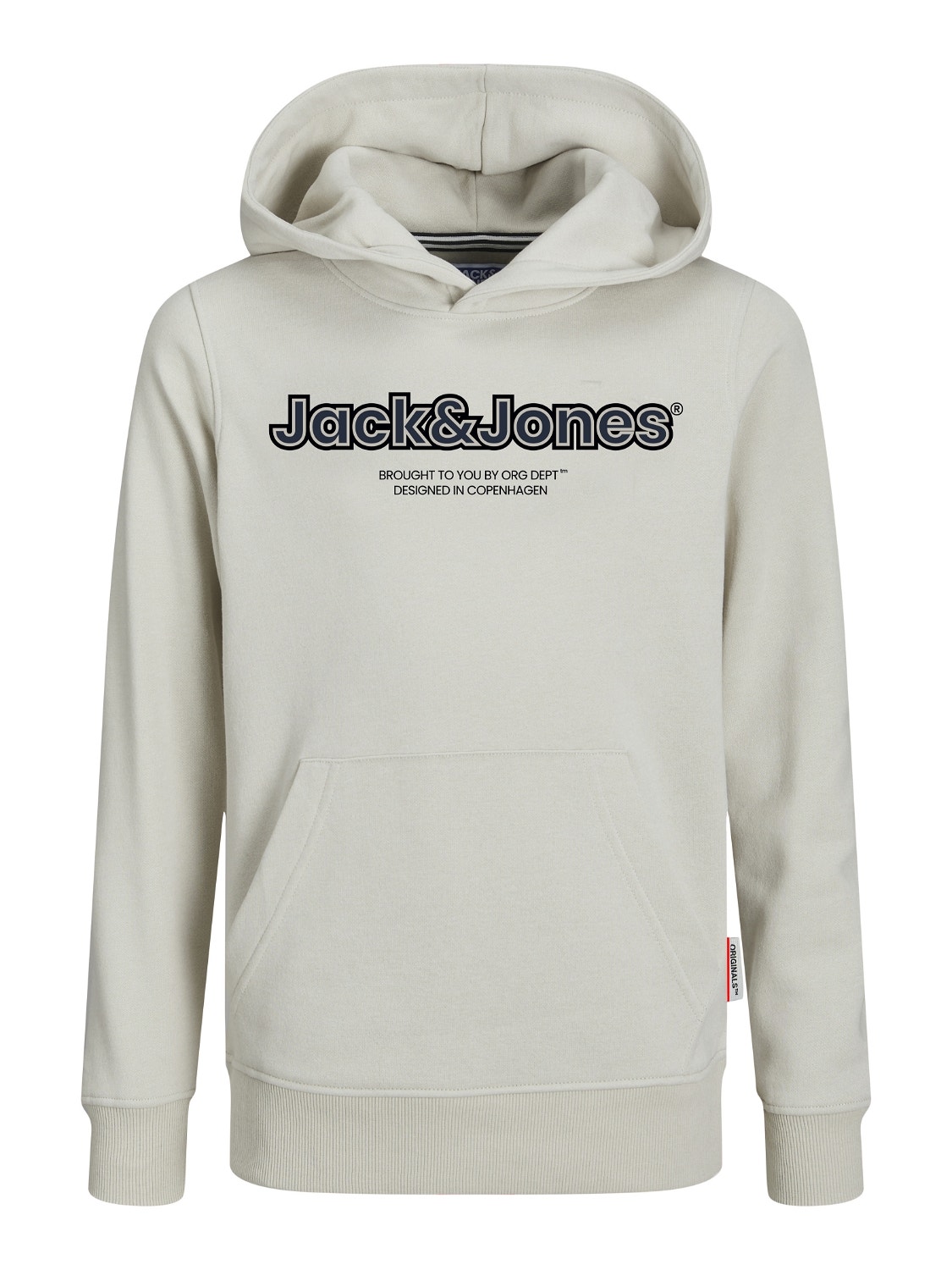 Jack & Jones Logo Hættetrøje Til drenge -Moonbeam - 12247614