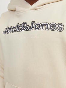 Jack & Jones Logo Hættetrøje Til drenge -Moonbeam - 12247614