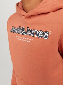 Jack & Jones Logotipas Megztinis su gobtuvu For boys -Ginger - 12247614