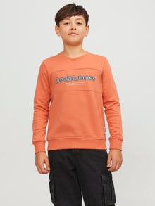 Jack & Jones Logo Sweatshirt med rund hals Til drenge -Ginger - 12247690