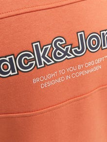 Jack & Jones Poikien Logo Pyöreäkauluksinen collegepaita -Ginger - 12247690