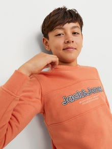 Jack & Jones Logotyp Crewneck tröja För pojkar -Ginger - 12247690