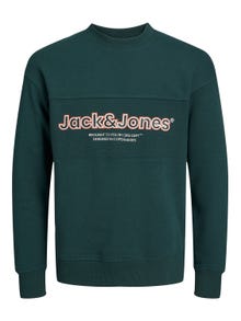 Jack & Jones Logo Crew neck Sweatshirt For boys -Magical Forest - 12247690