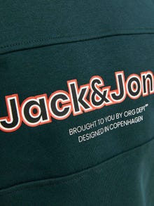 Jack & Jones Φούτερ με λαιμόκοψη Για αγόρια -Magical Forest - 12247690