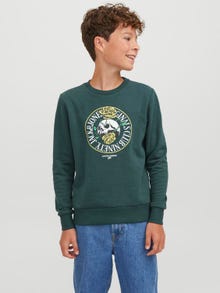 Jack & Jones Bedrukt Sweatshirt met ronde hals Voor jongens -Magical Forest - 12247870