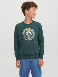 Jack & Jones Nyomott mintás Személyzeti nyakú pulóver Ifjúsági -Magical Forest - 12247870