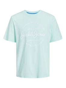 Jack & Jones Printet Crew neck T-shirt -Soothing Sea - 12247972