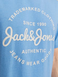 Jack & Jones Nyomott mintás Környak Trikó -Pacific Coast - 12247972