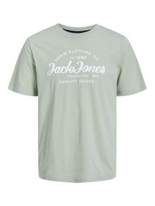 Jack & Jones Spausdintas raštas Apskritas kaklas Marškinėliai -Desert Sage - 12247972