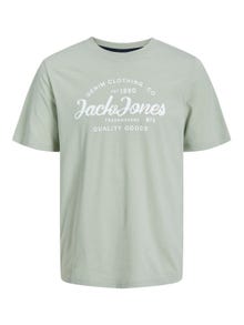 Jack & Jones T-shirt Estampar Decote Redondo -Desert Sage - 12247972