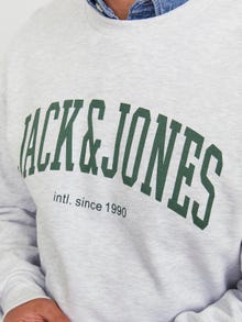 Jack & Jones Ühevärviline Crew neck Sweatshirt -White Melange - 12248431