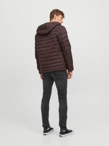 Jack & Jones Doudoune -Seal Brown - 12248544