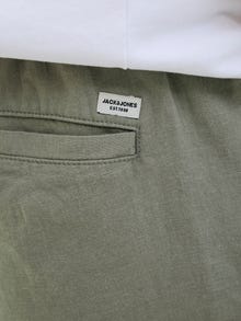 Jack & Jones Regular Fit Shorts -Agave Green - 12248629