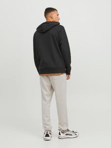 Jack & Jones Regular Fit Tepláky -Moonbeam - 12249274