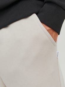 Jack & Jones Klasikinis kirpimas Sportinės kelnės -Moonbeam - 12249274